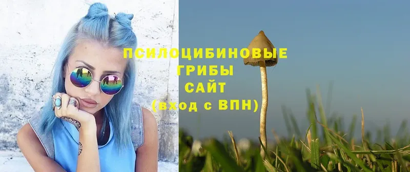 Галлюциногенные грибы MAGIC MUSHROOMS  Кизляр 